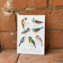 Load image into Gallery viewer, Collection of Tits Postcard
