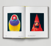 Load image into Gallery viewer, Bird.