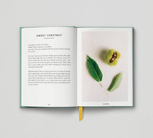Load image into Gallery viewer, The Urban Forager
