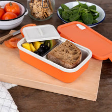 Load image into Gallery viewer, Orange Double Wall Lunch Box with Divider