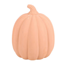 Load image into Gallery viewer, Medium Terracotta Halloween Pumpkin Decoration