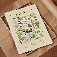 Load image into Gallery viewer, Forage Illustrated Wild Flower Art Print