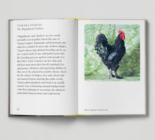 Load image into Gallery viewer, Bird.