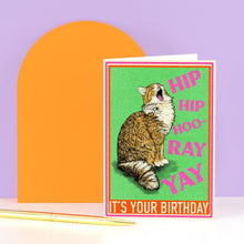 Load image into Gallery viewer, Hip Hip Hooray Cat Birthday Greetings Card