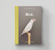 Load image into Gallery viewer, Bird.