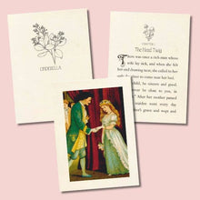 Load image into Gallery viewer, Cinderella