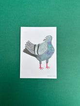 Load image into Gallery viewer, Derpy Pigeon Postcard