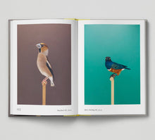 Load image into Gallery viewer, Bird.