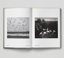 Load image into Gallery viewer, Bird.
