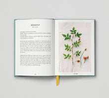 Load image into Gallery viewer, The Urban Forager
