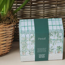 Load image into Gallery viewer, Greenhouse Scented Candle Gift Set