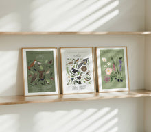 Load image into Gallery viewer, The Peak District Birdlife Illustrated Art Print