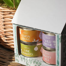Load image into Gallery viewer, Greenhouse Scented Candle Gift Set