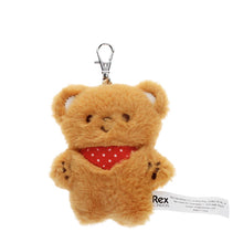 Load image into Gallery viewer, Fluffy Teddy Bear Keyring Bag Charm