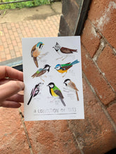 Load image into Gallery viewer, Collection of Tits Postcard