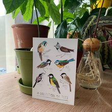 Load image into Gallery viewer, Collection of Tits Postcard