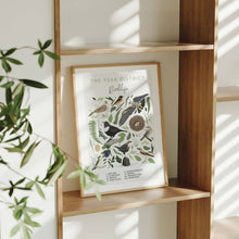 Load image into Gallery viewer, The Peak District Birdlife Illustrated Art Print