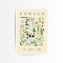 Load image into Gallery viewer, Forage Illustrated Wild Flower Art Print