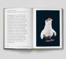 Load image into Gallery viewer, Bird.
