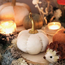 Load image into Gallery viewer, Velvet Pumpkin Standing Decoration
