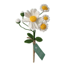 Load image into Gallery viewer, White Daisy Crochet Sprig

