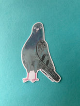 Load image into Gallery viewer, Barnaby The Pigeon Vinyl Sticker
