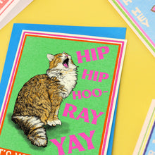 Load image into Gallery viewer, Hip Hip Hooray Cat Birthday Greetings Card
