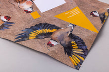 Load image into Gallery viewer, Golden Flight Pigeon Pack of 6 Folding Letter Set
