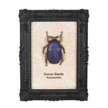 Load image into Gallery viewer, Gothic Scarab Beetle Framed 3D Wall Art
