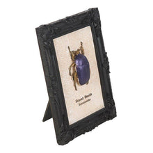 Load image into Gallery viewer, Gothic Scarab Beetle Framed 3D Wall Art
