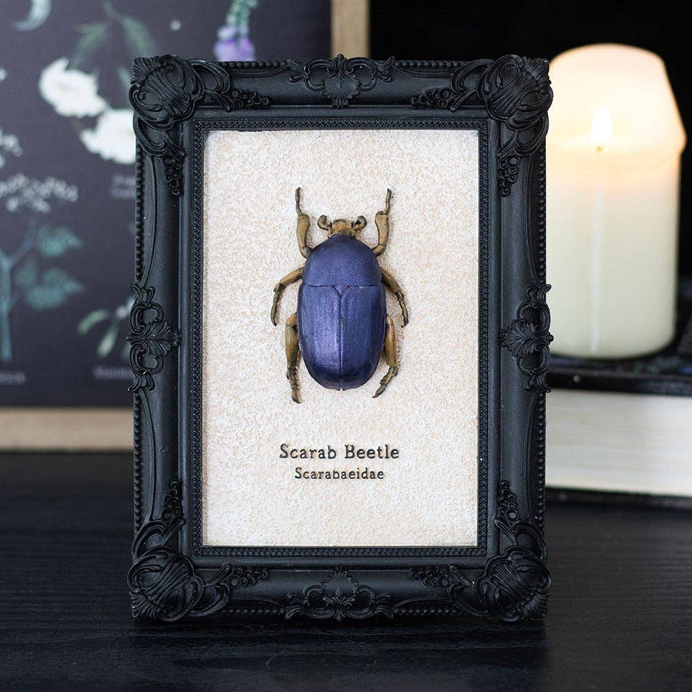 Gothic Scarab Beetle Framed 3D Wall Art