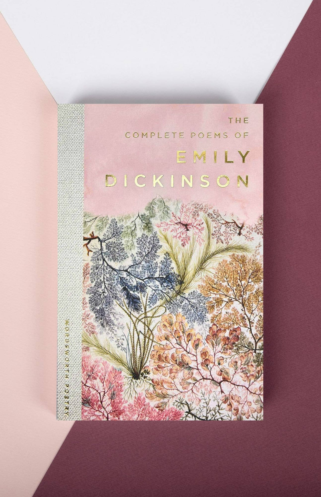 The Selected Poems of Emily Dickinson