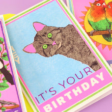 Load image into Gallery viewer, Matchbox Cat Birthday Greetings Card
