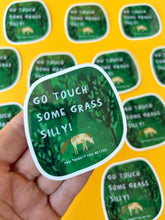 Load image into Gallery viewer, Go Touch Some Grass Silly Sticker
