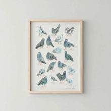 Load image into Gallery viewer, Pigeon Collective Art Print
