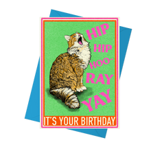 Load image into Gallery viewer, Hip Hip Hooray Cat Birthday Greetings Card
