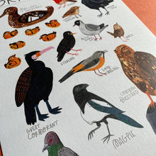 Load image into Gallery viewer, British Birds Art Print
