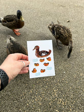 Load image into Gallery viewer, Mallard and Ducklings Postcard
