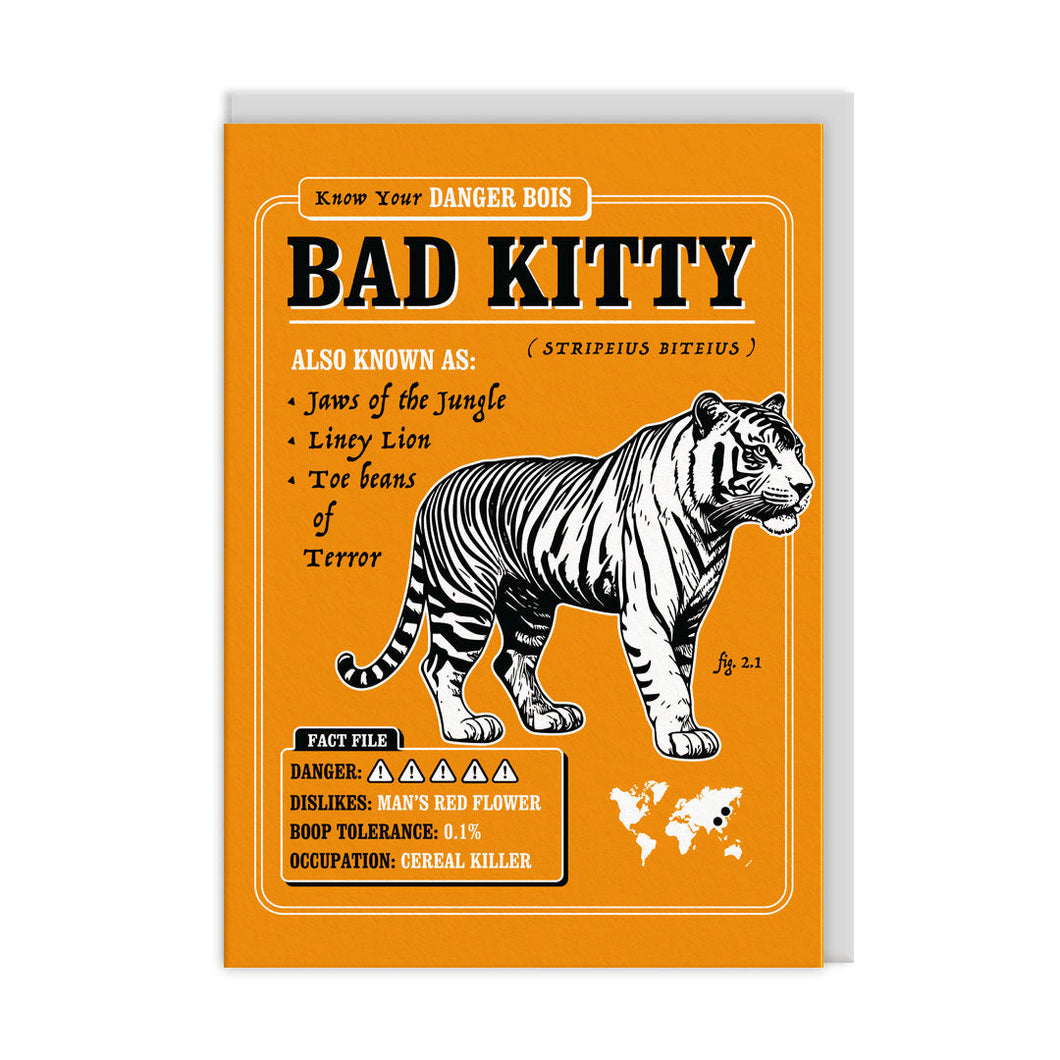 Bad Kitty Greetings Card