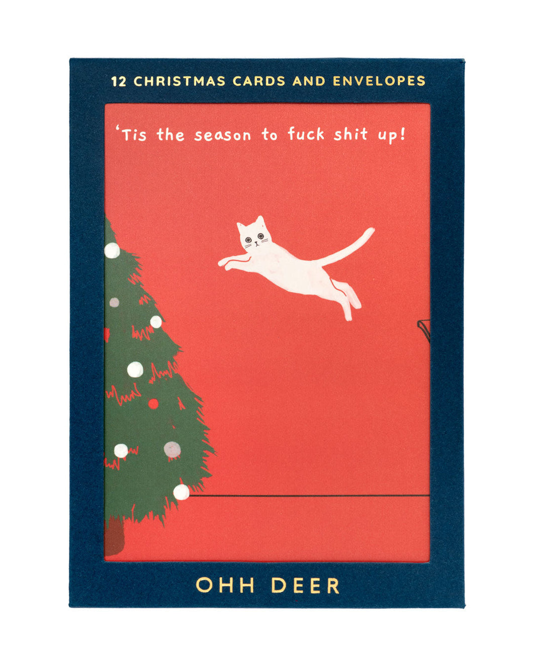 Pack of 12 Ken The Cat Christmas Cards