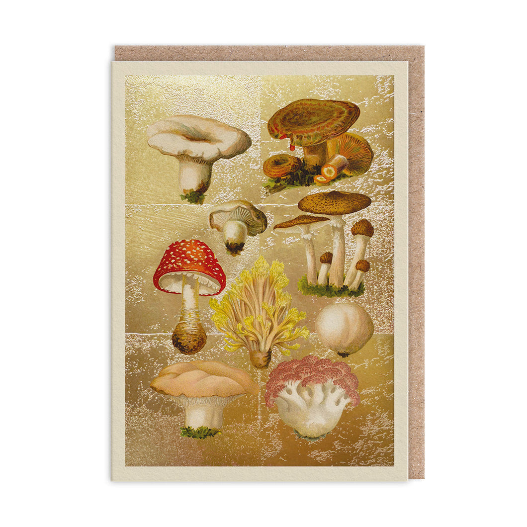 Fungi Collection Greetings Card