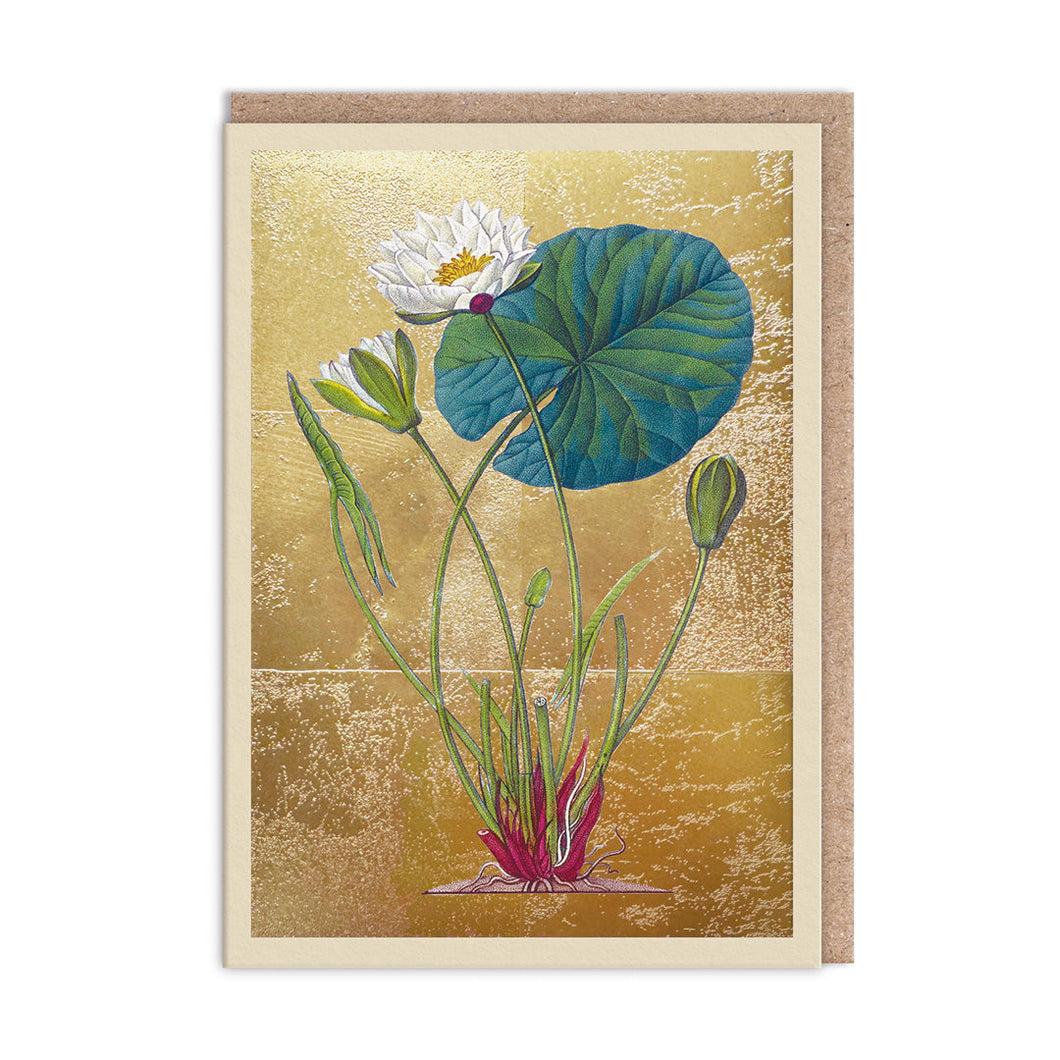 Pond Lily Greetings Card