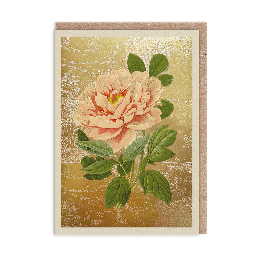 Tree Peony Greetings Card