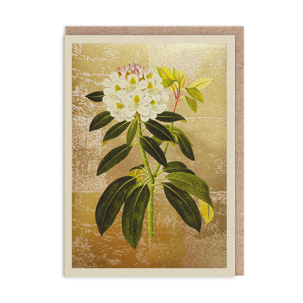 Rhododendron Greetings Card