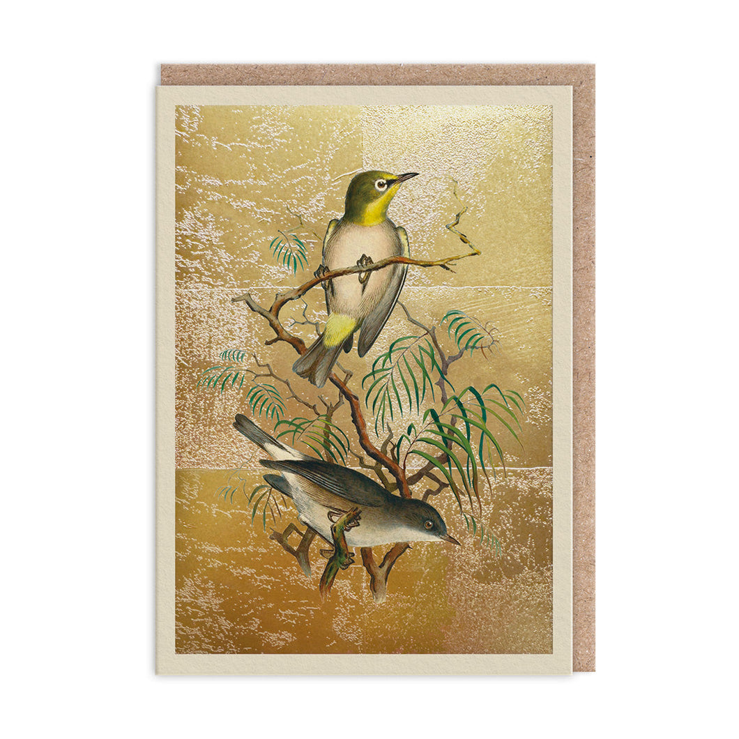 Heuglin's White-Eye Greetings Card