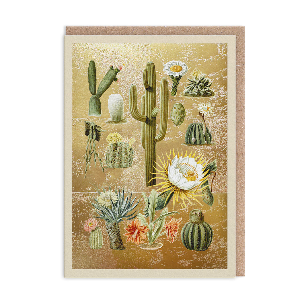 Cacti Greetings Card