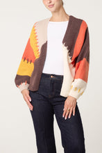 Load image into Gallery viewer, Colour Block Cardigan
