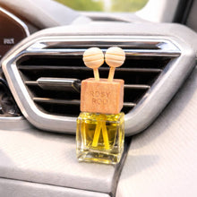 Load image into Gallery viewer, Citrus &amp; Spice Car Diffuser
