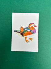 Load image into Gallery viewer, Mandarin Duck Postcard
