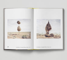 Load image into Gallery viewer, Bird.
